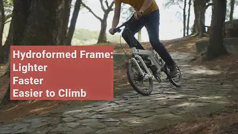 The LIMITED EDITION Birdy P40 Performance Foldable Bike!